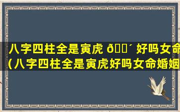 八字四柱全是寅虎 🌴 好吗女命（八字四柱全是寅虎好吗女命婚姻）